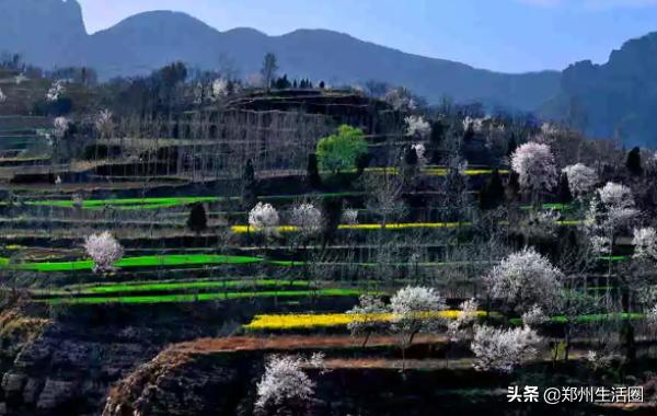 五一免费景区河南郑州黄河风景区 (郑州黄河风景游览区五一免门票吗)