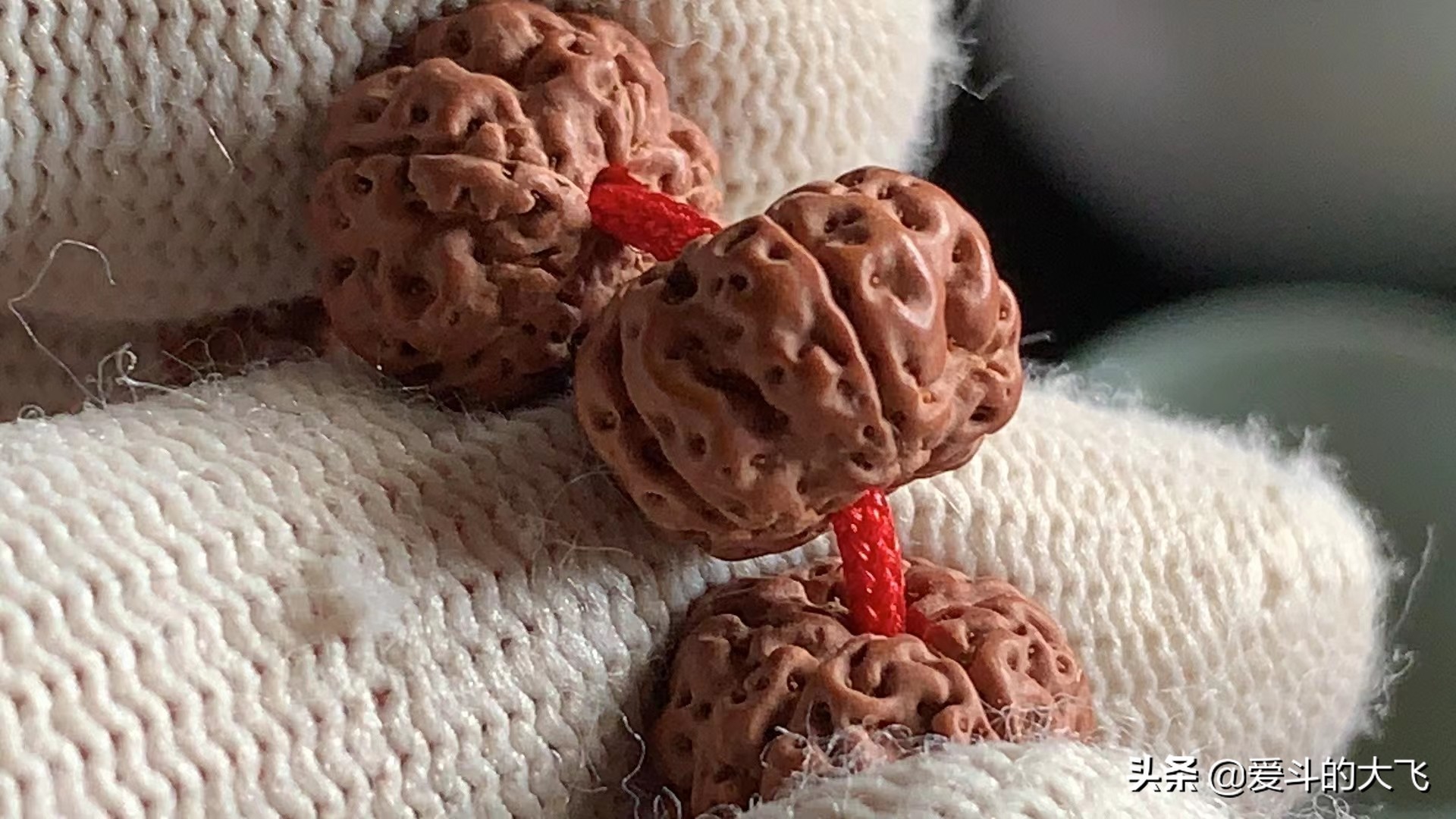 大飞说文玩：传说中的一代“树祖小金刚”你见过吗？