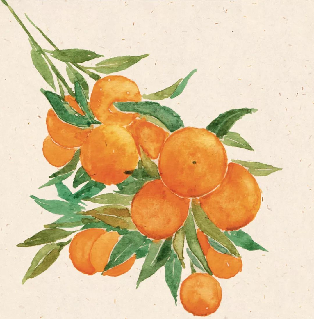 广西太婆螺蛳粉,广西那么多粉只有螺蛳粉火了