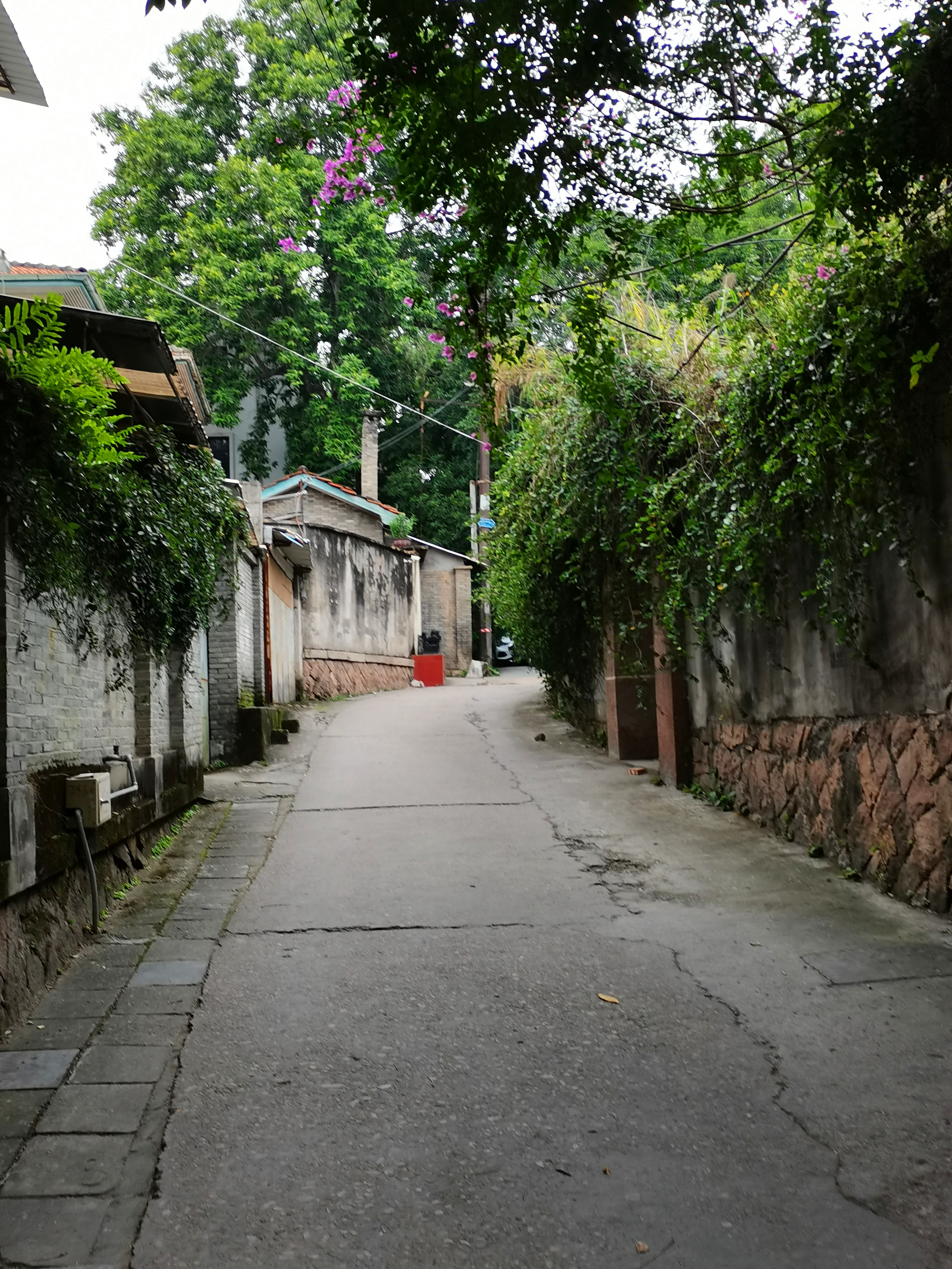 福州华侨新村怎么走,福州华侨新村美食