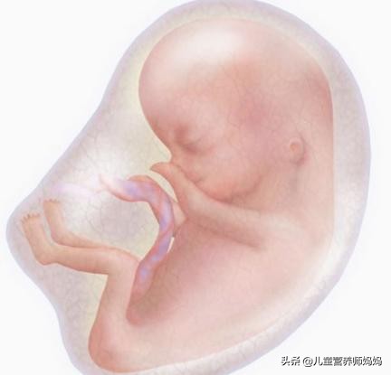 怀孕5个月胎动少怎么回事,怀孕5个月胎动多少次正常