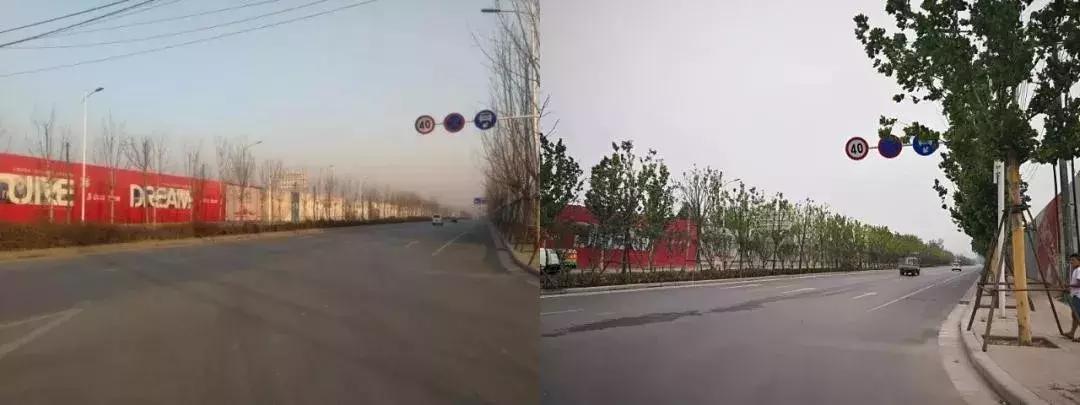 一篇文章搞懂全部文言文,管南神盘