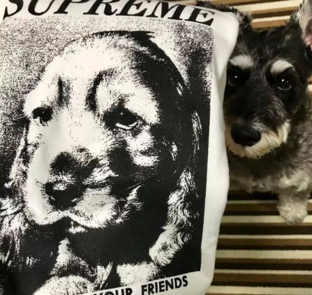 supreme十大最帅国潮,十大潮牌supreme