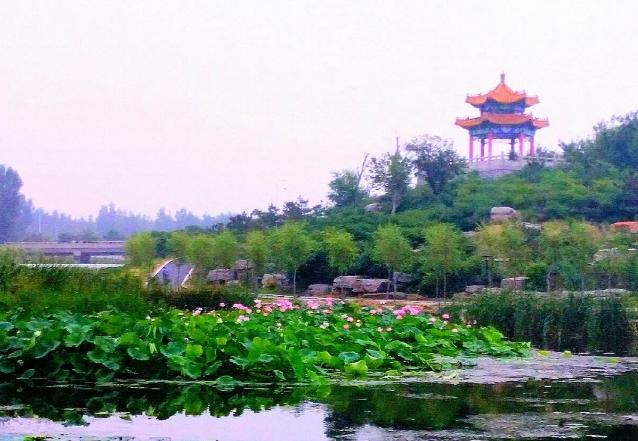 山东省人口超一百万的县城有哪些,山东人口过100万的城市