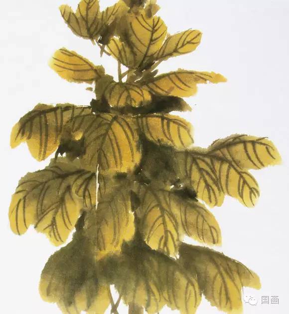 张克申写意牡丹画法教程,邵丹写意牡丹各阶段画法