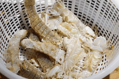 青岛西海岸富人区价格,有一种炫富叫做湛江开海