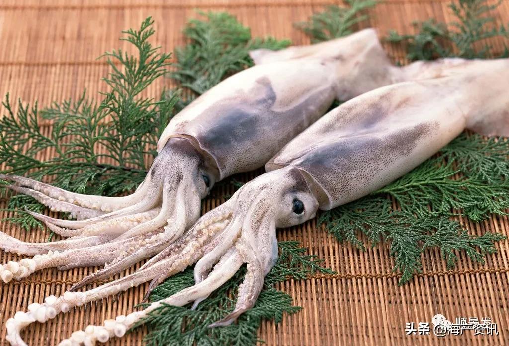 各国海鲜大盘点,今年过年最值得入手的海鲜