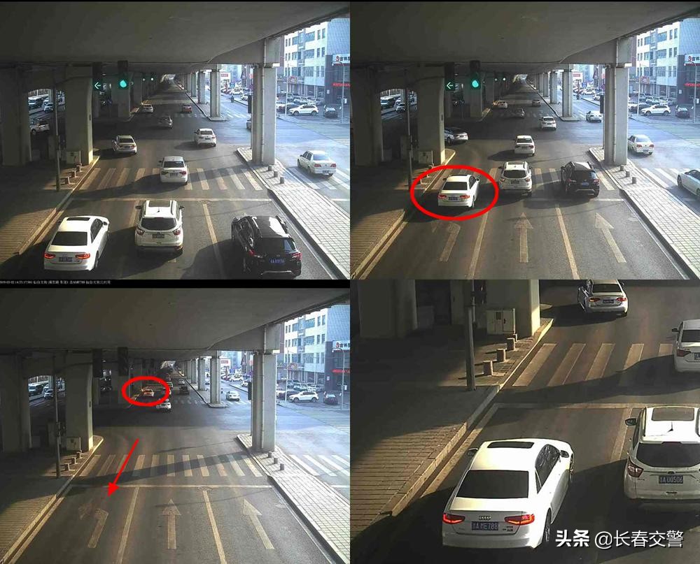 违法曝光台,违法曝光台第96期