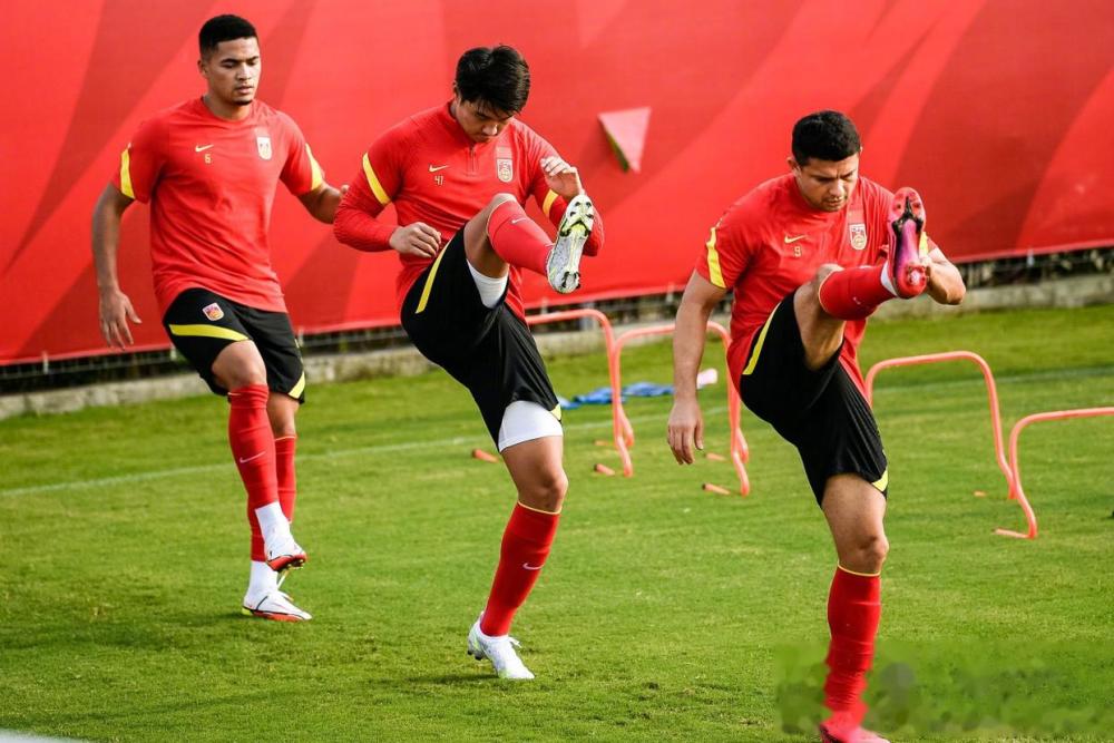 瘦死的骆驼真的比马大,瘦死的骆驼比马强