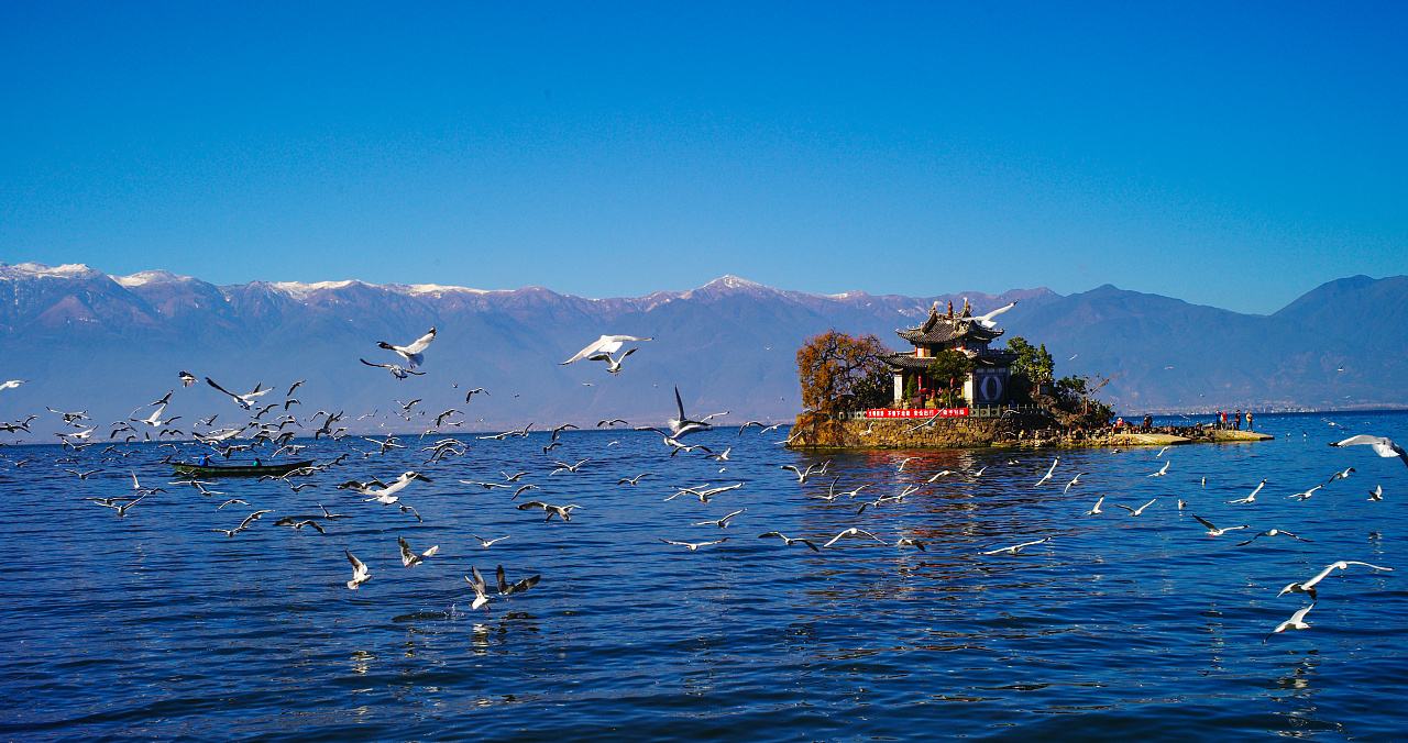 西双版纳旅游被宰客,西双版纳旅游人数下降统计