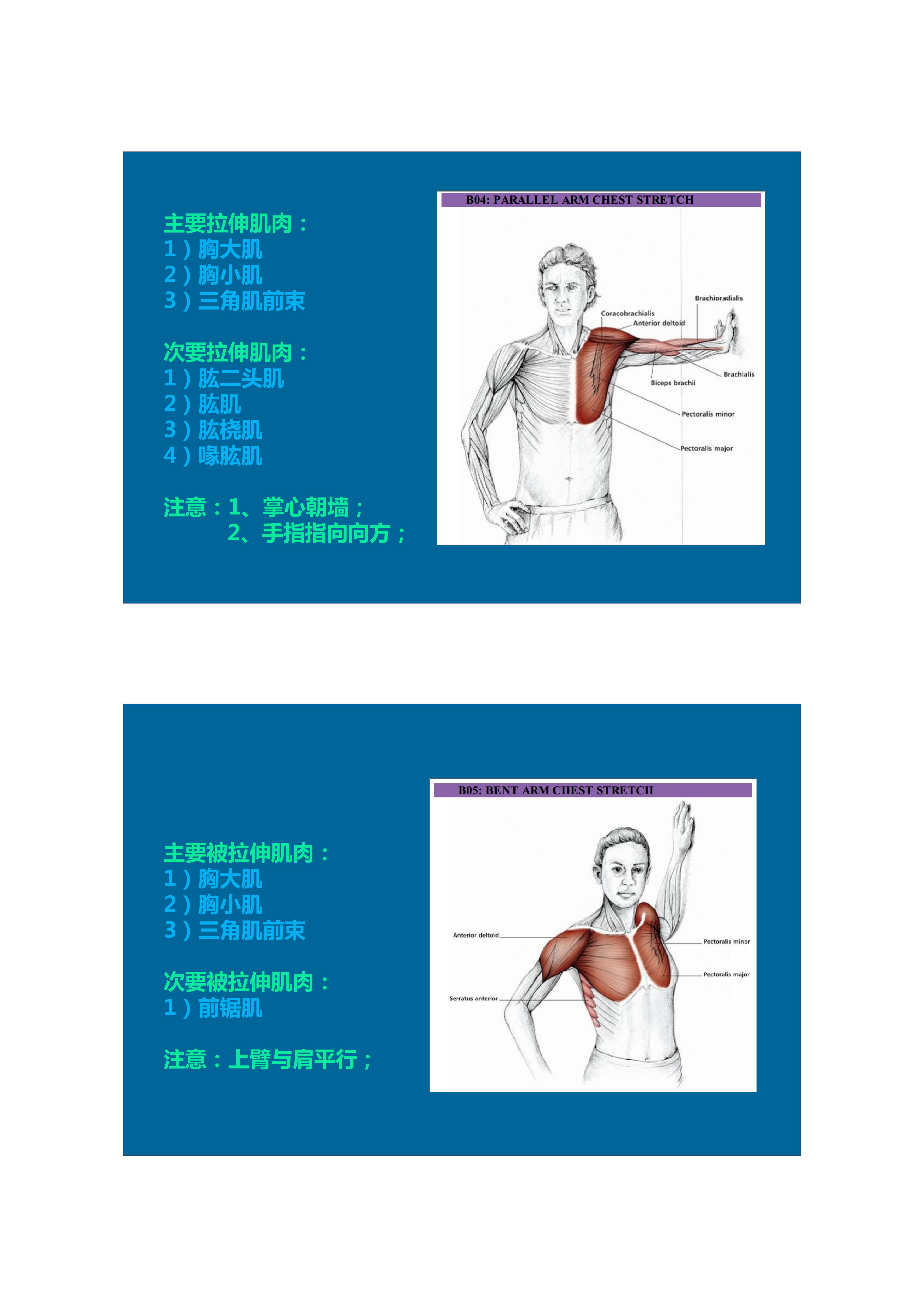 拉伸动态块制作技巧,泰式后背拉伸技巧视频
