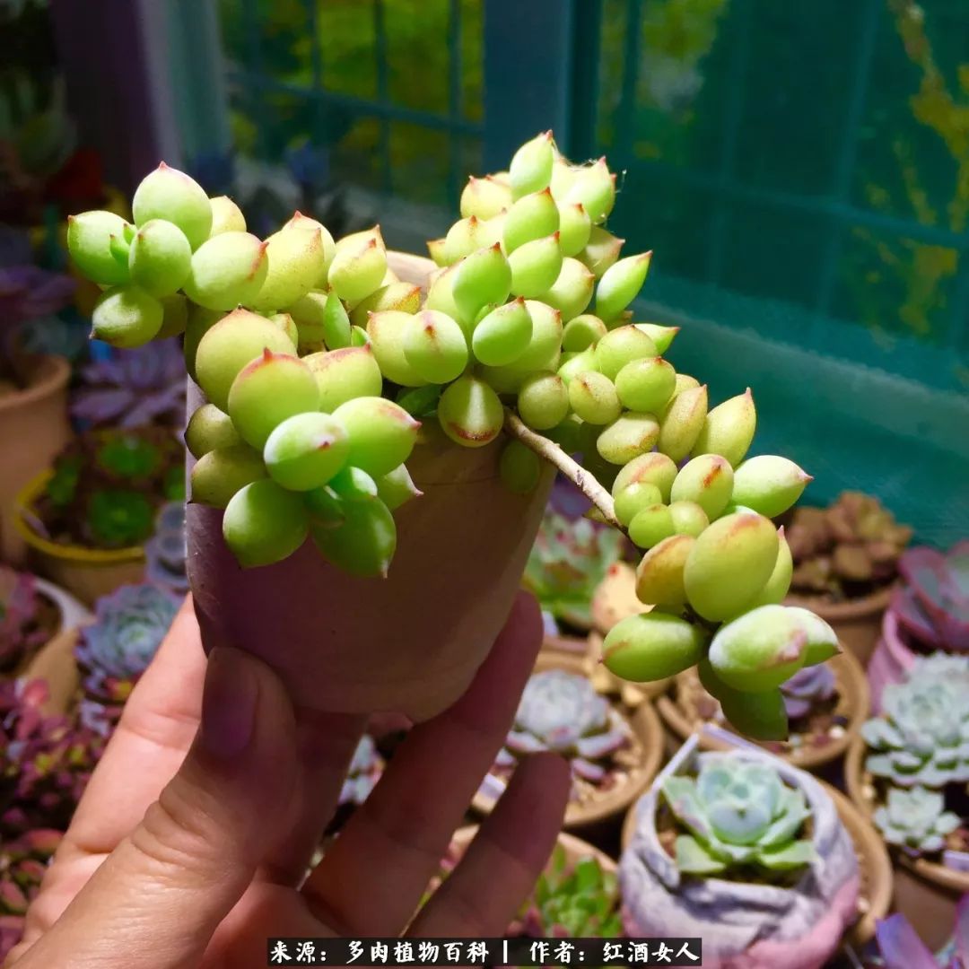 记录走过的美景留下美好的回忆,记录走过的每一段美好时光