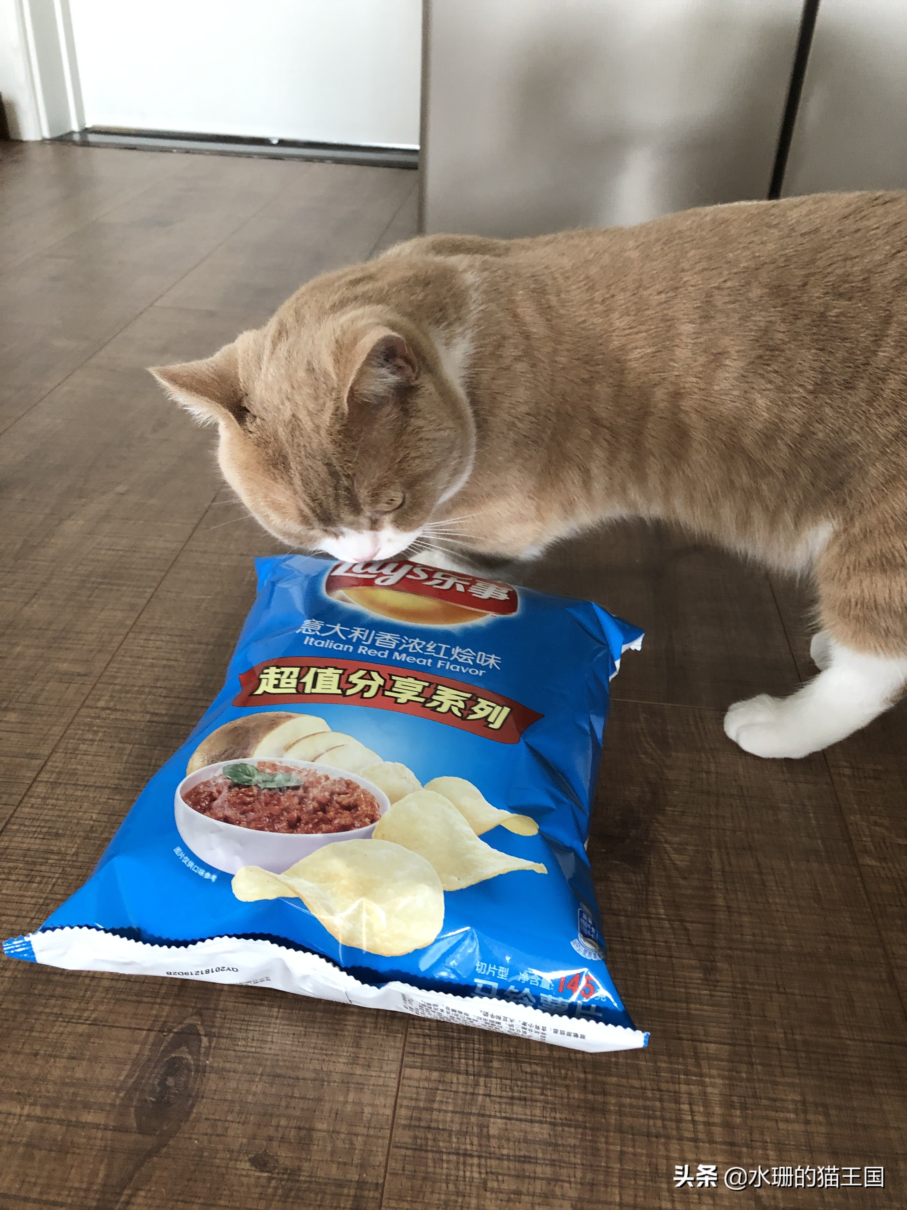 猫咪误食怎么解救,猫咪误食植物中毒了吃什么解毒