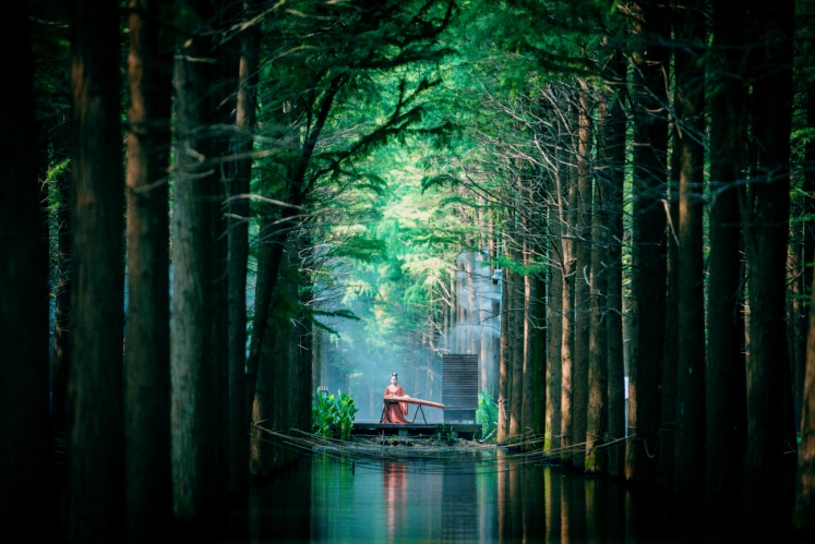 仙桃梦里水乡美如画,魅力仙桃梦里水乡