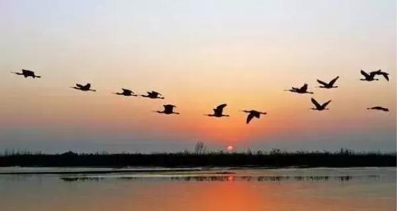 郑州中牟象湖湿地公园,郑州中牟国家湿地公园