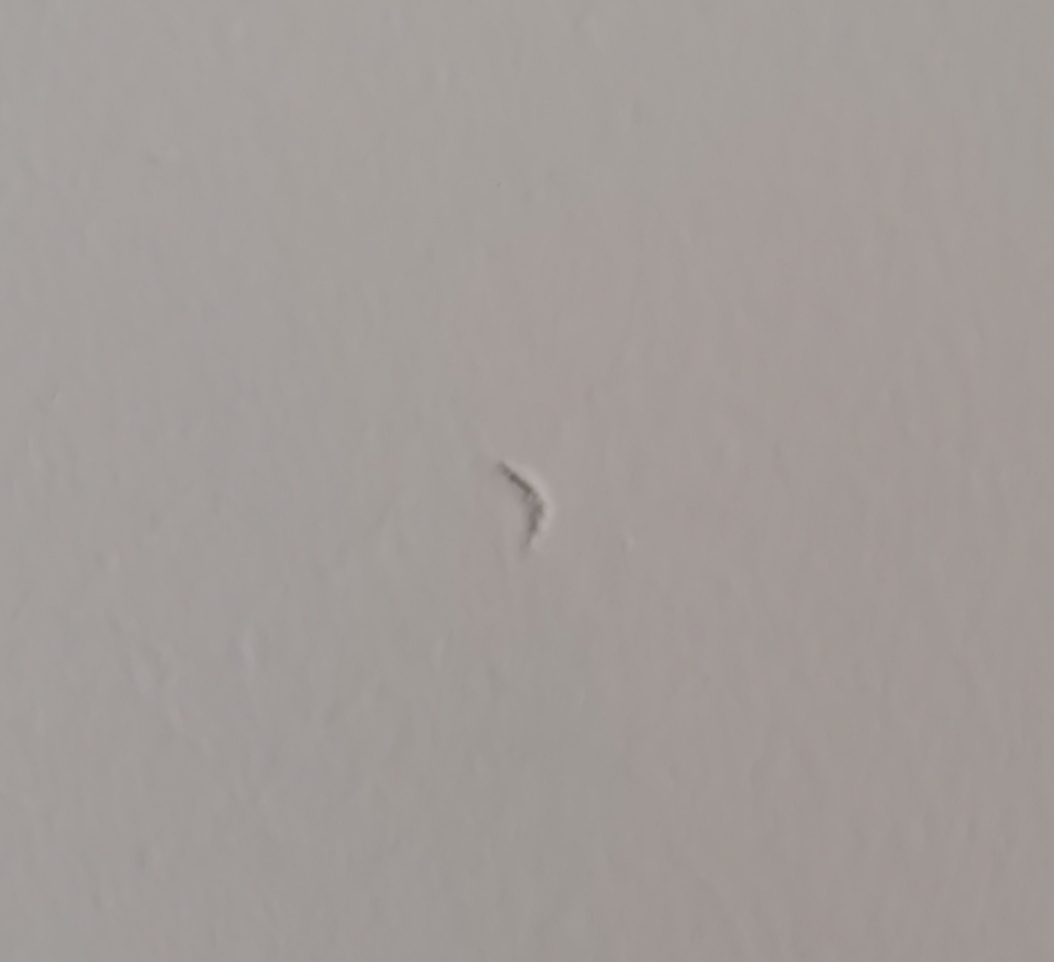 装修乳胶漆起皮修补,装修乳胶漆刷得不好怎么办