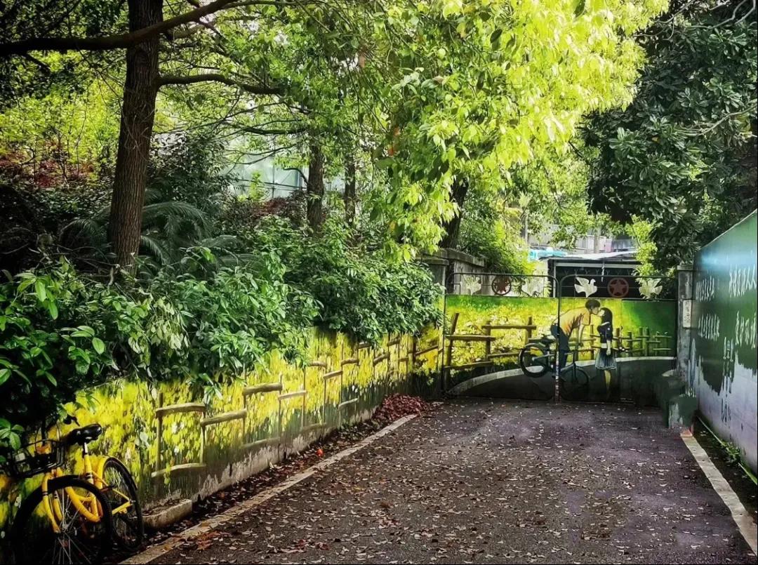 一个不出郑州的踏青好去处,天津春游公园推荐