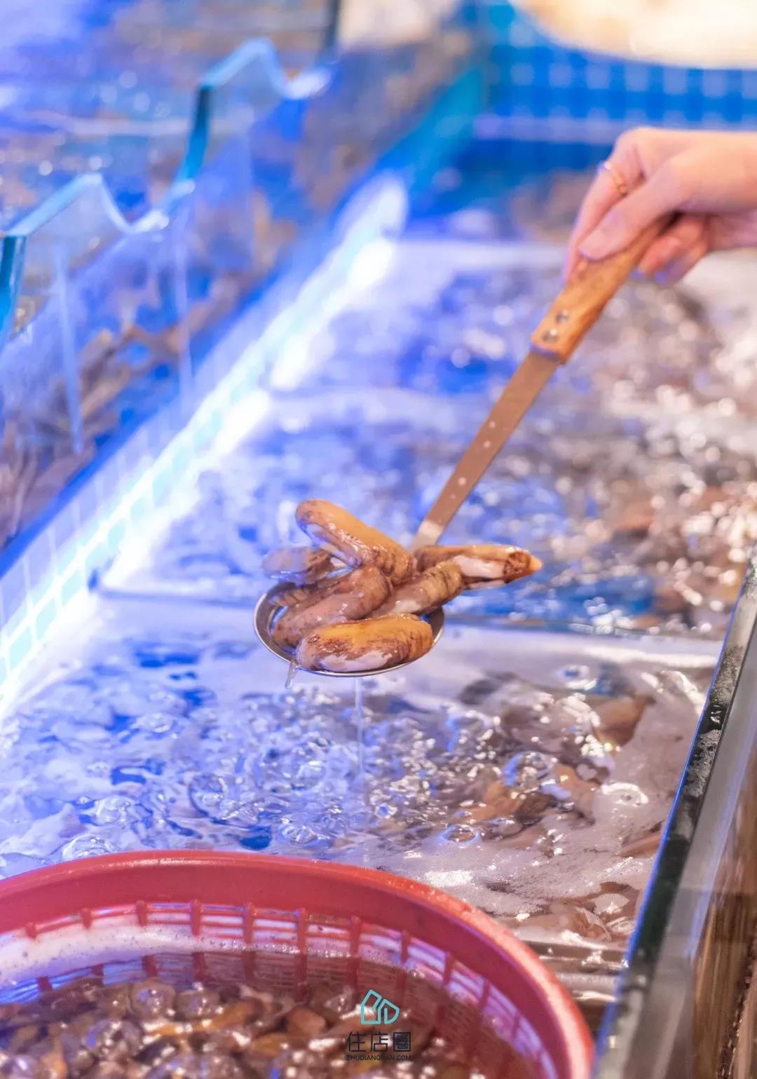 春节厦门自由行5日游攻略,自由行攻略厦门旅游景点