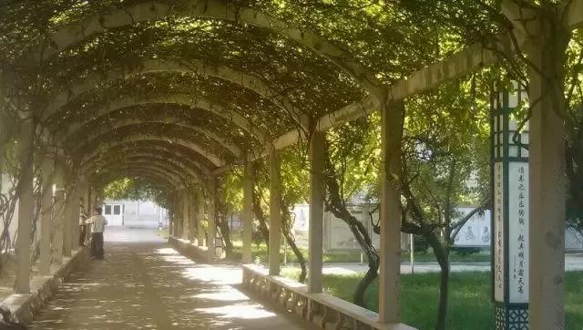 镇江实验高中在什么地方,镇江实验高中老师与学生视频