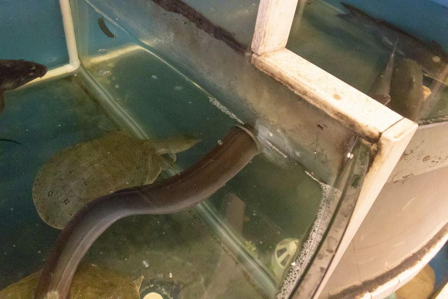 实拍一家更适合北方人的打边炉,各式各样的打边炉