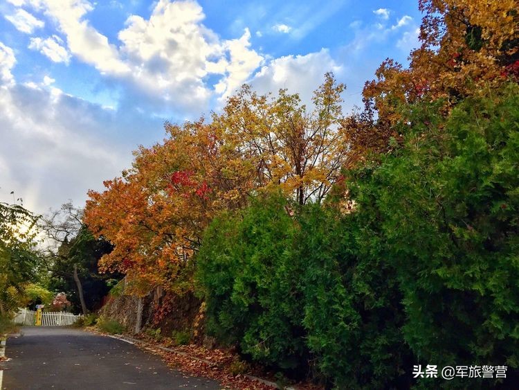 大连市八七疗养院的故事,大连八七疗养院