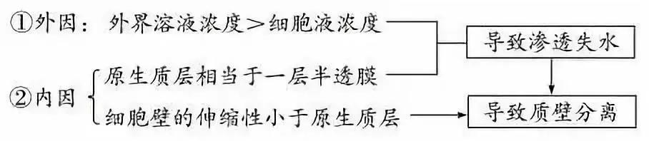 河南高中会考生物必背知识点,生物显微镜实验视频高中