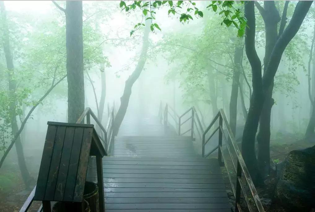 六月份适合山东自驾游的地方,六月山东省旅游推荐