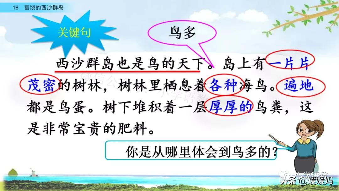三年级第18课富饶的西沙群岛预习,3年级语文第18课富饶的西沙群岛