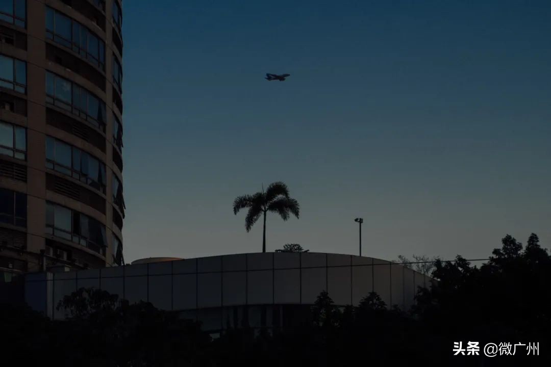 广州有一条很好看的街,广州最值得逛的几条街