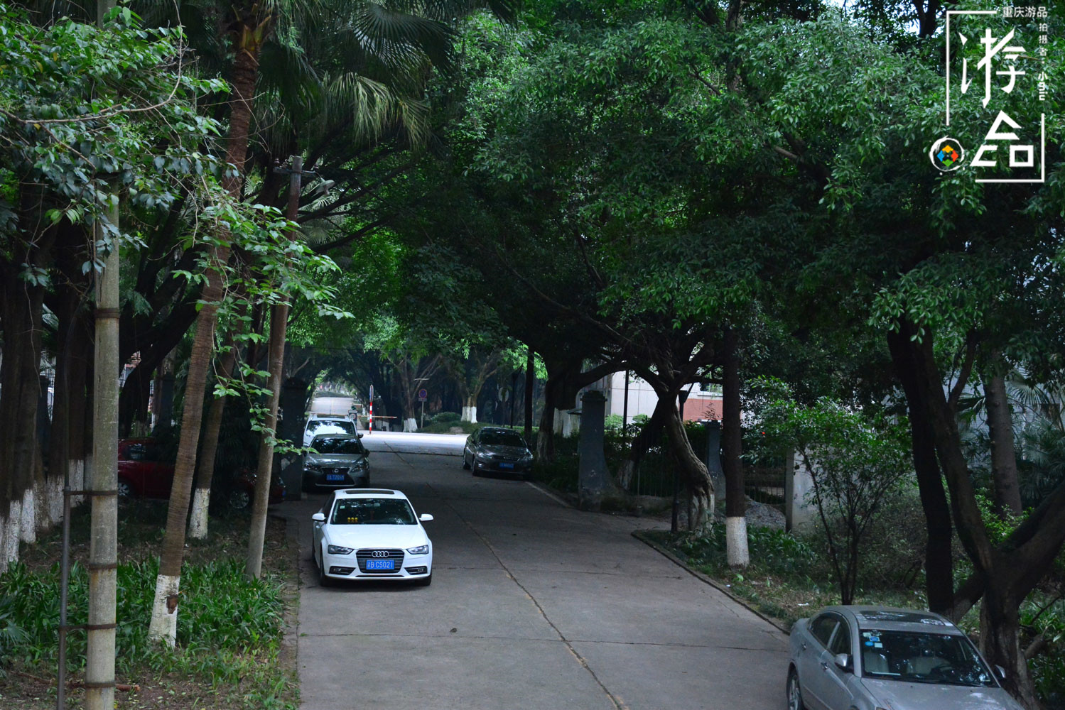 渝中区和九龙坡分界,重庆九龙坡区历史变迁