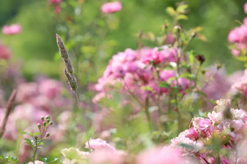 圈子不同不必强融搞笑语录,圈子不同不必强融有幽默的说法吗