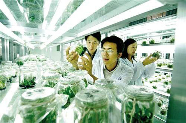 王福重穷人与富人,王福重务农