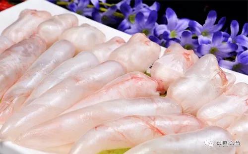 金鱼栽头翻肚,为什么金鱼容易失漂