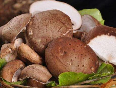 炸豆腐丸子怎么吃着苦呢,炸豆腐丸子的正确方法