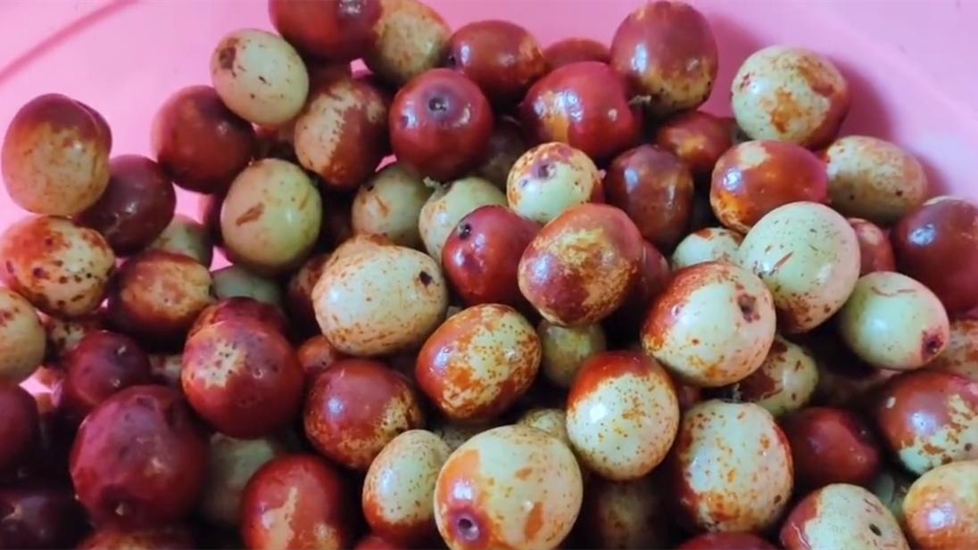 中秋佳节必吃的4种吉祥果,立秋建议多吃5样秋果