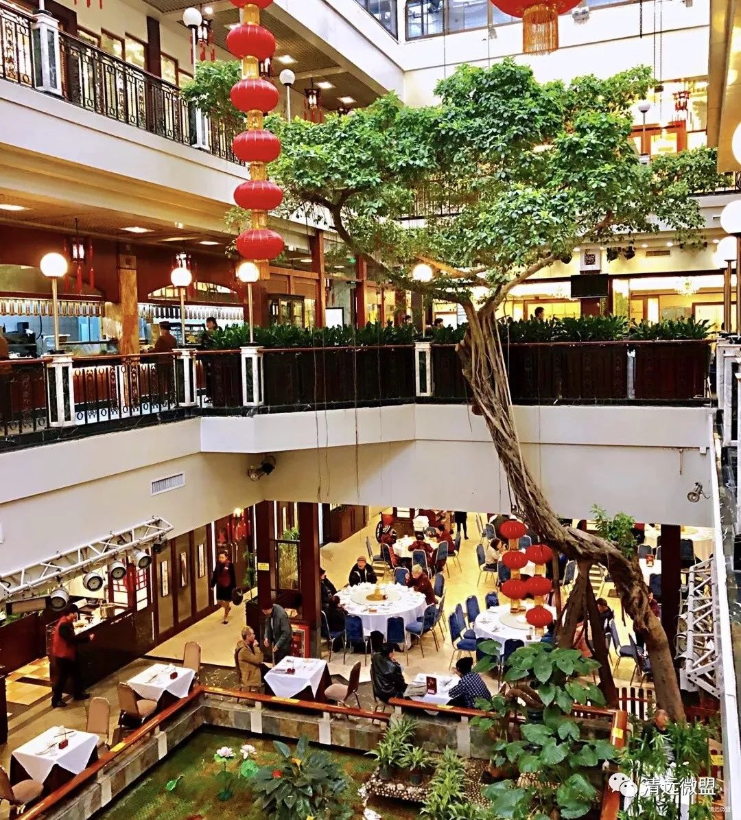 广东美食米其林,米其林上榜的中国菜