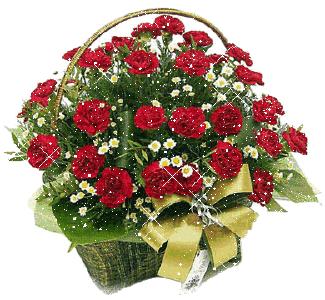 520祝福语表达爱意句句温馨美好,520祝福语送给最在乎的人