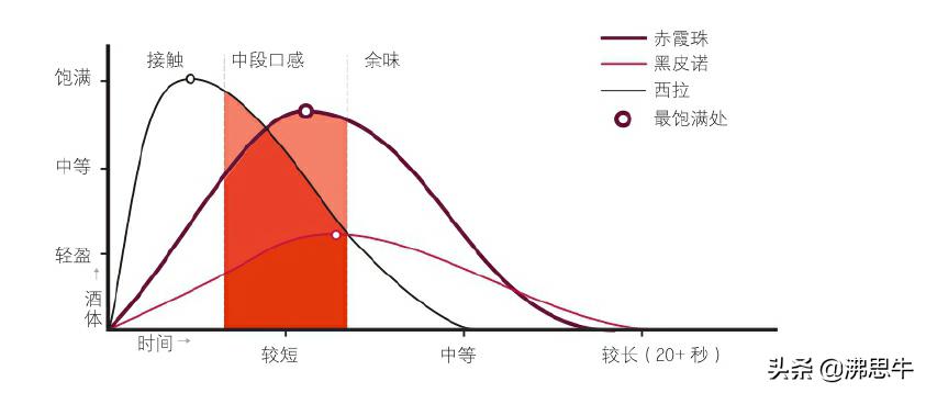 通过自己品鉴好喝的红酒,怎样品尝出红酒的年份