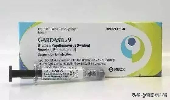 艾滋病，HPV——今天一文了解