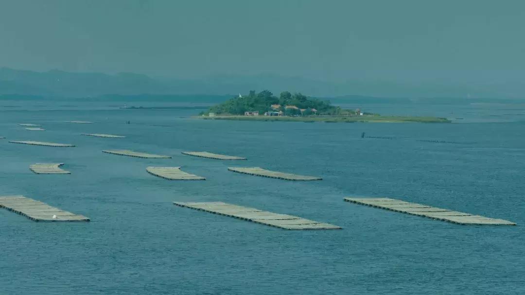 广西有哪些淘宝村,广西五个淘宝村