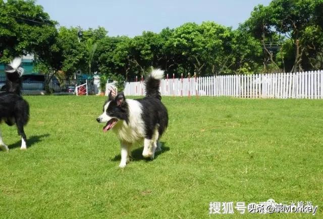 三水新昌奥特莱斯,新昌奥特莱斯是佛罗小镇吗