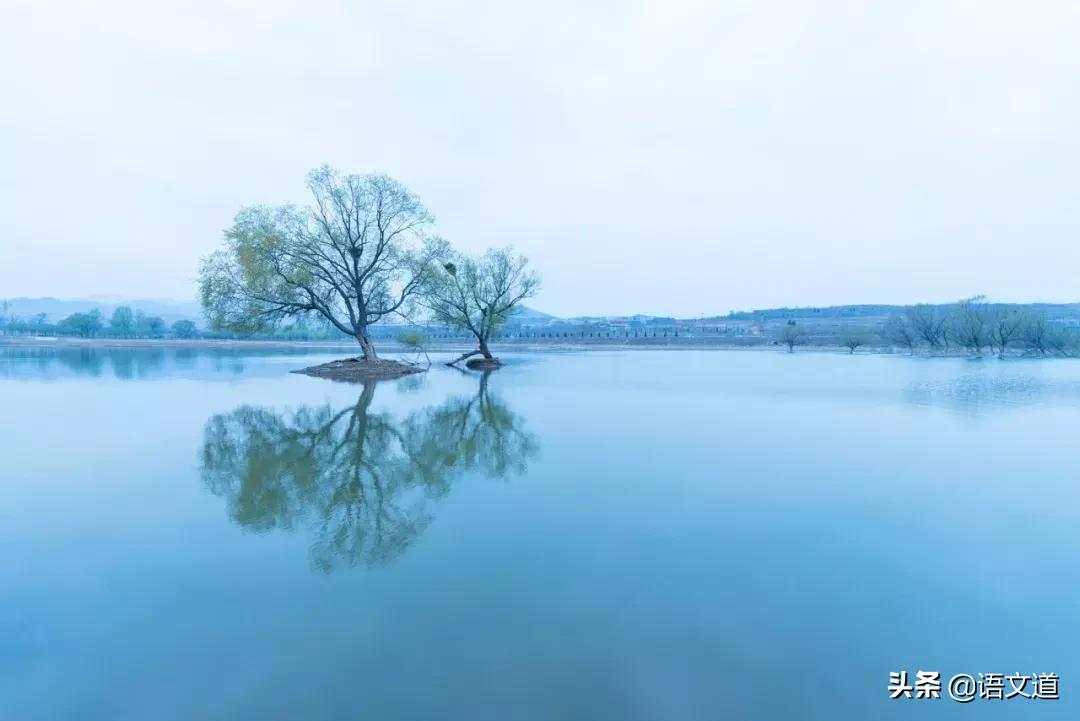 50组易混淆的成语你真的用对了吗,大公无私和铁面无私的辨析