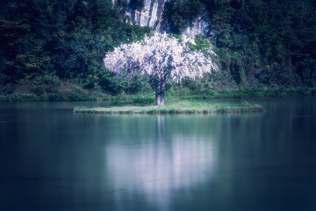 调色没思路有哪些问题,调色没有思路怎么办