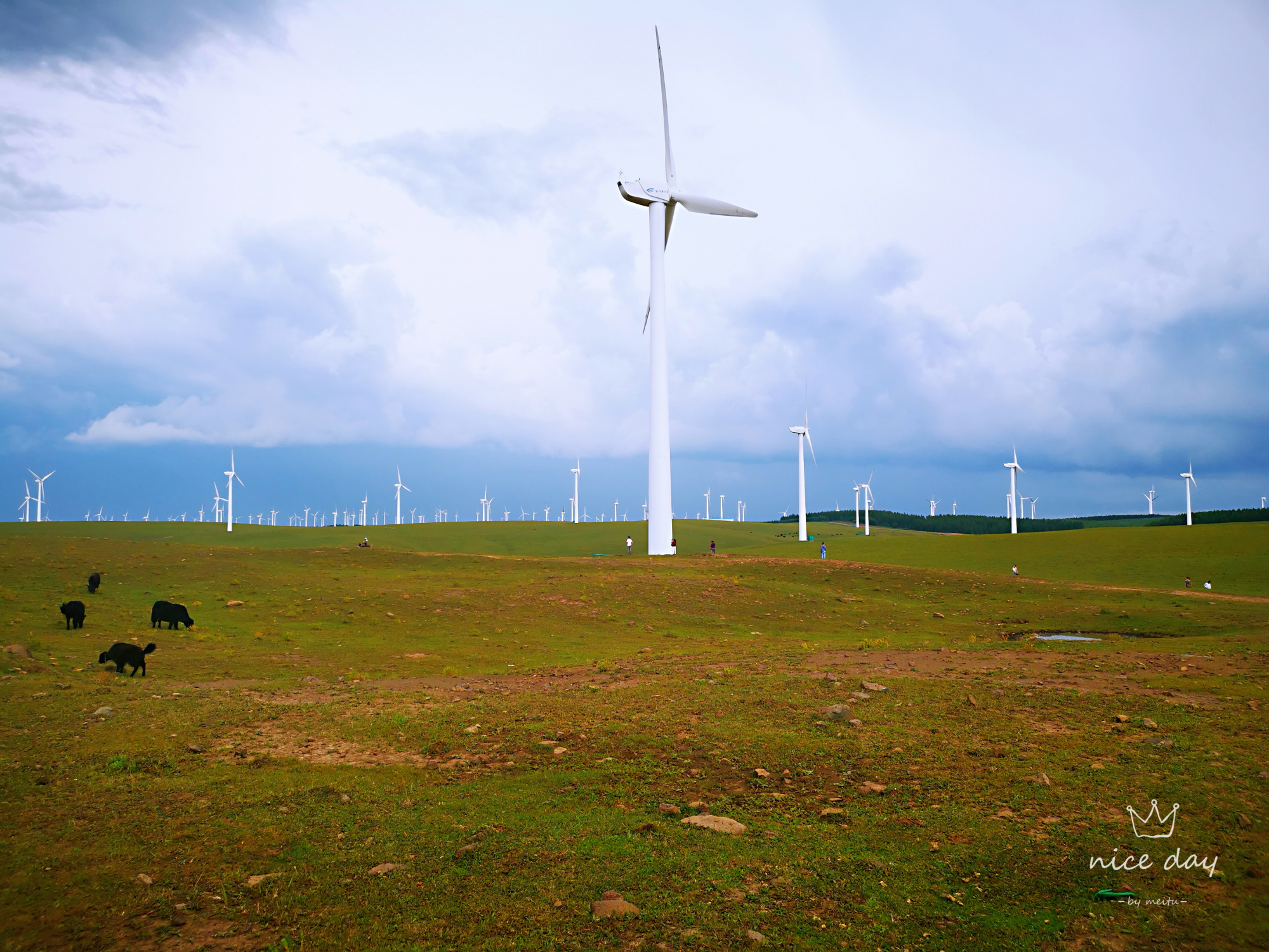 乌兰布统和红松洼哪个更值得去,辽宁乌兰布统草原旅游