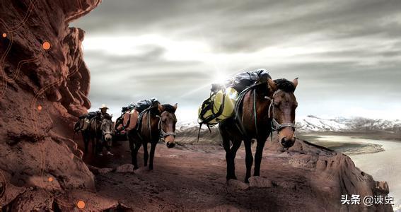 历史上茶马互市是干什么的,茶马互市起源于哪个朝代