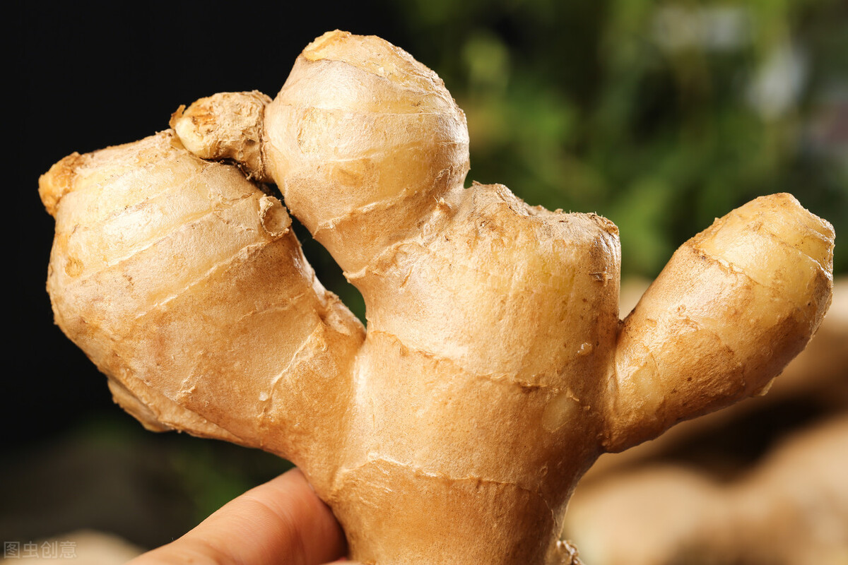 生姜滞销最新消息,生姜价格连续下跌