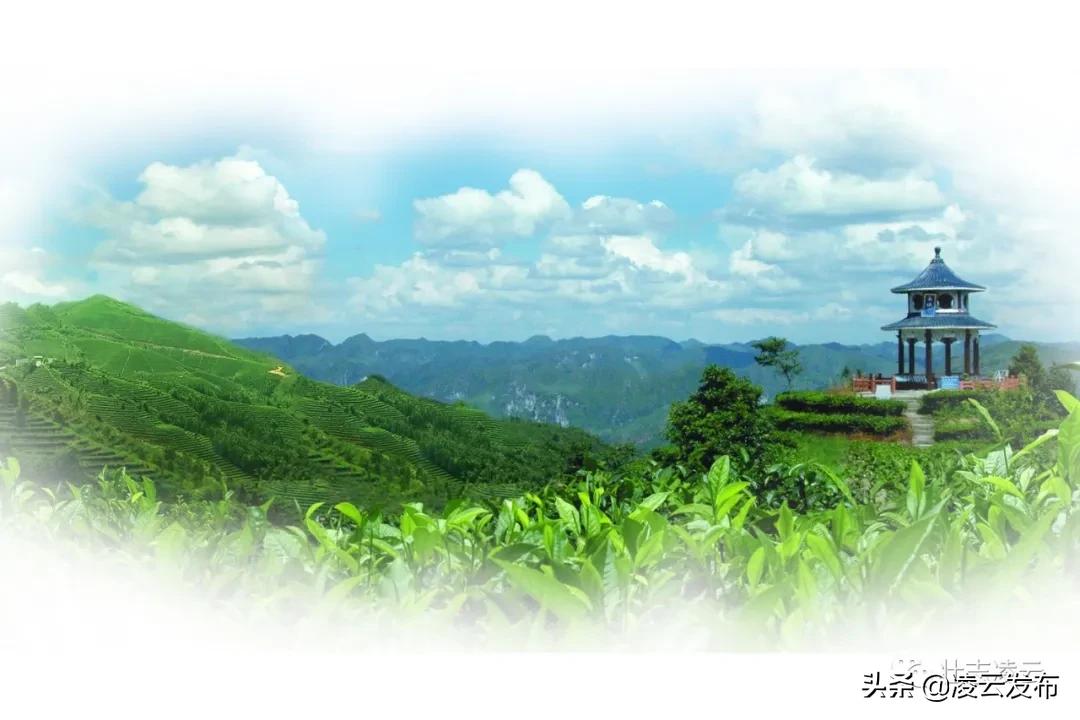 给力!凌云这些村官将获加薪,最高2000元/月