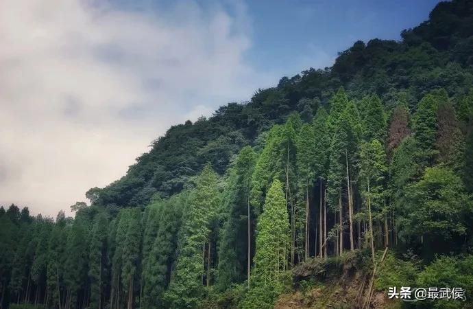 成都周边避暑一日游玩水古镇,成都周边免费避暑古镇地点推荐