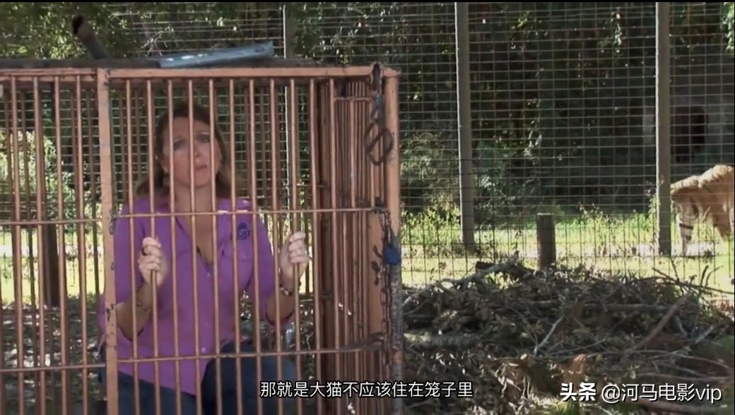 这部魔幻纪录片，在美国竟然比疫情还火！