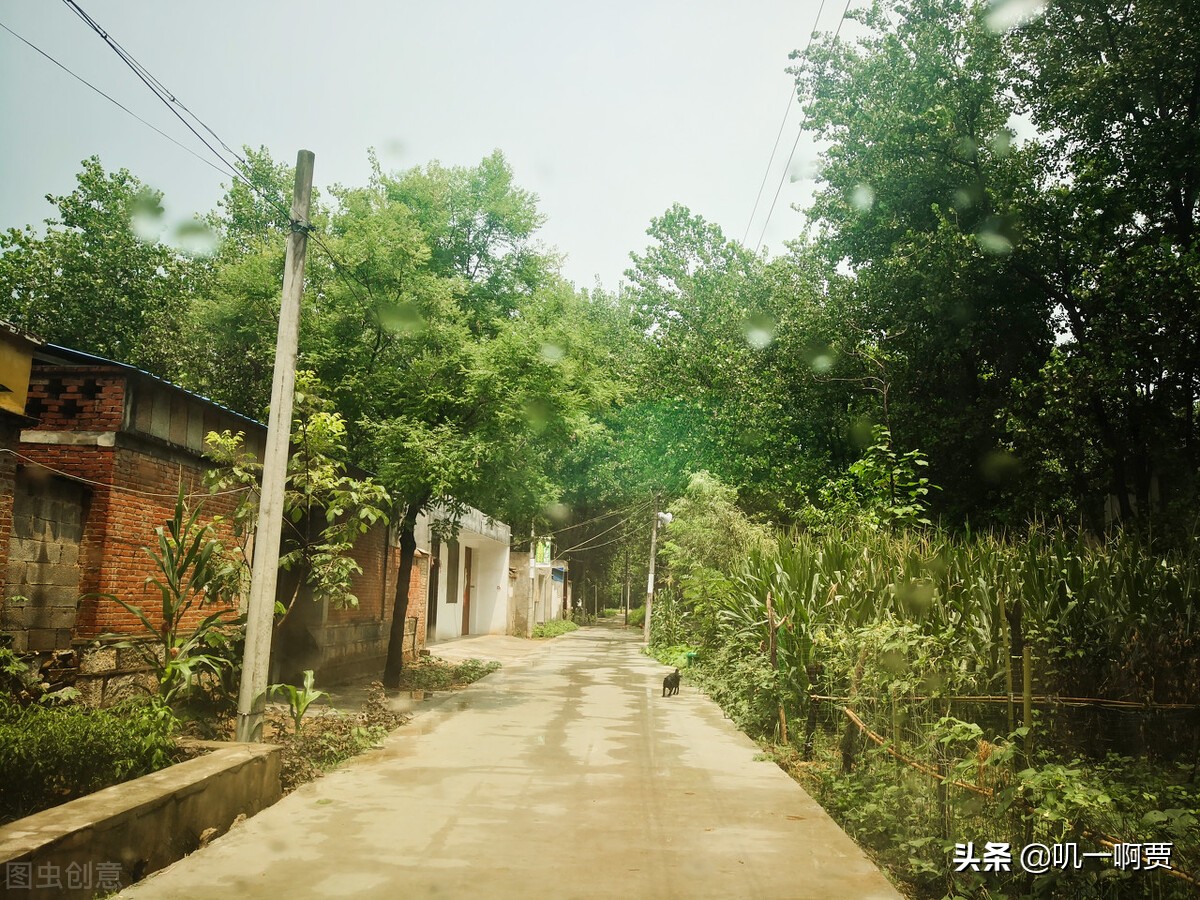 李子柒新媒体平台注册,李子柒视频运营分析